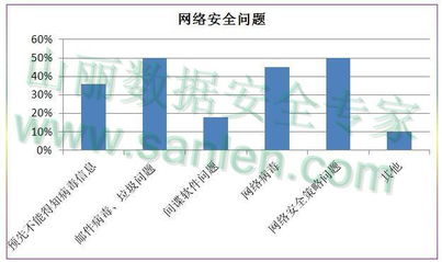 網絡信息安全全面剖析 以核心防護應對多樣威脅，構建安全軟件開發新范式